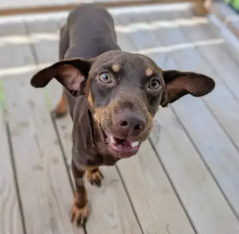 Wesson In Tx photo 2