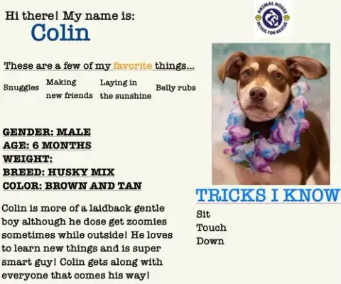 Colin photo 3
