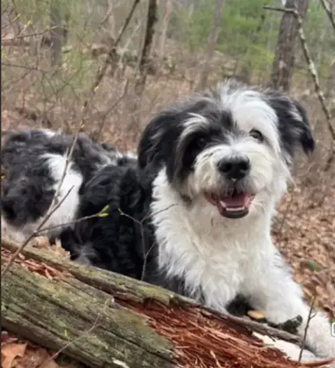 Holly In  Ri photo 4