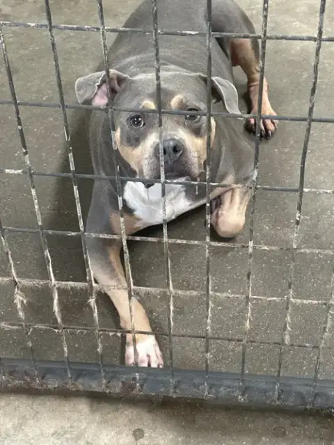 Starsky photo 2