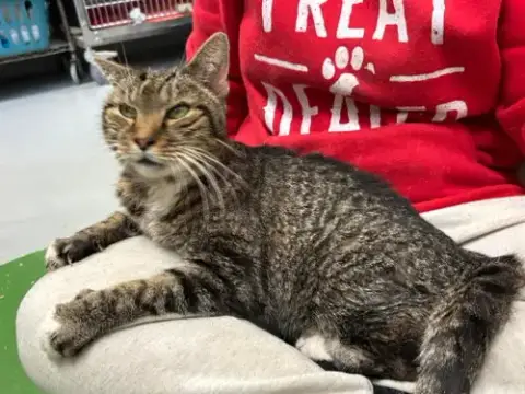 Rupert: Not At Shelter photo 2