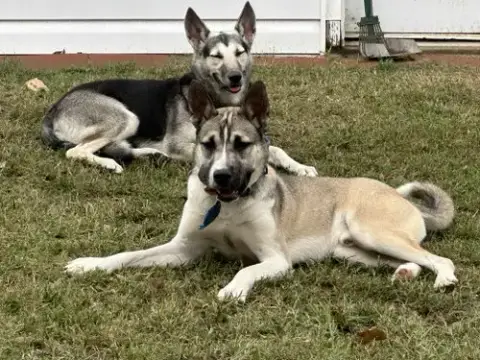 Nitro photo 2