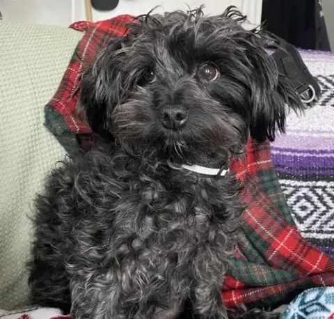 Toto