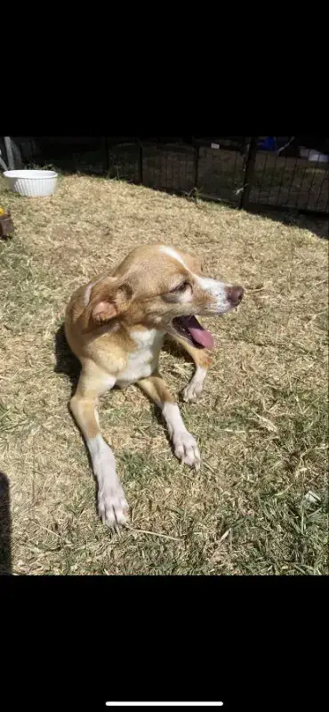 Mia