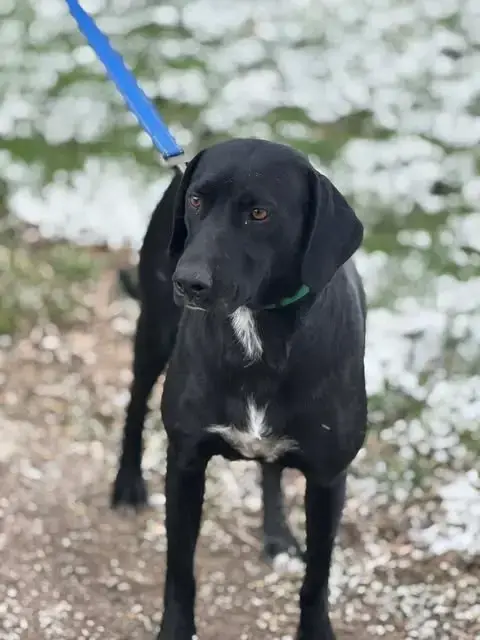 Mabel photo 4