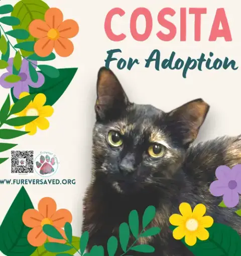 Cosita