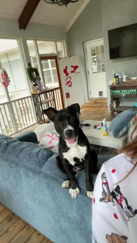 Amy photo 3