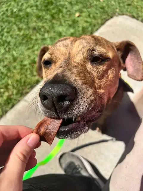 Coco
