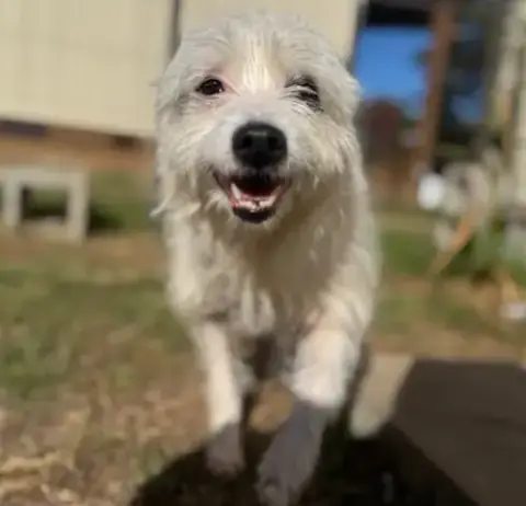 Flora Mae In Tx photo 3