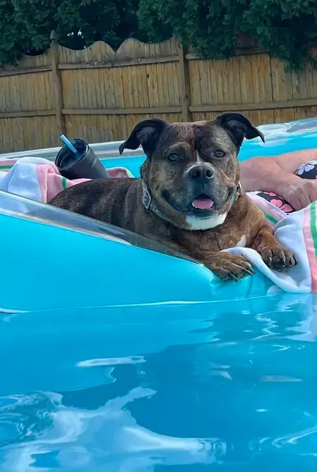 Shawny
