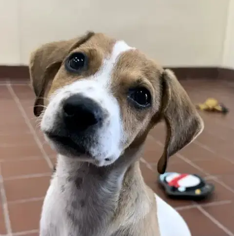 Minnie