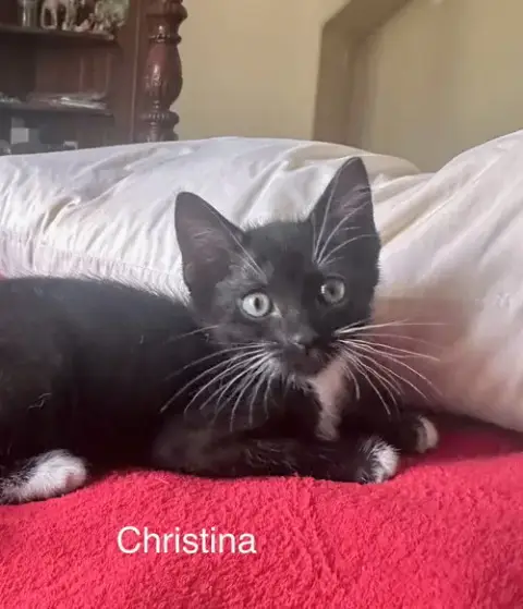 Christina