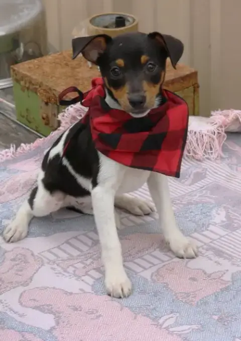 Tucker