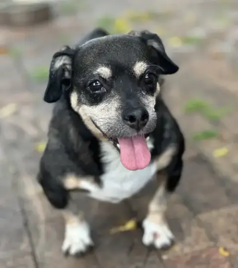 Wally photo 3