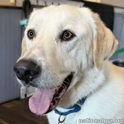 Zeus In Ct