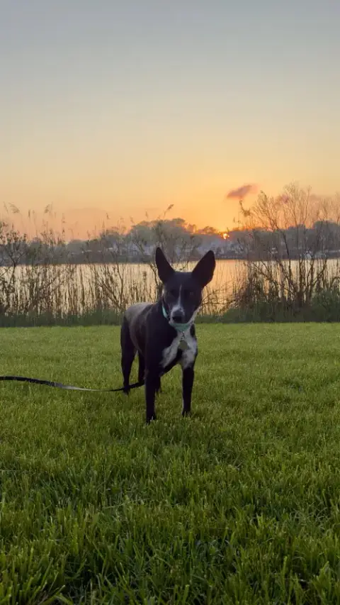 Spooky- Big Ear Energy photo 2