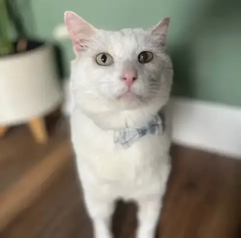 Theodore