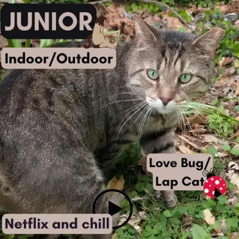 Junior photo 2