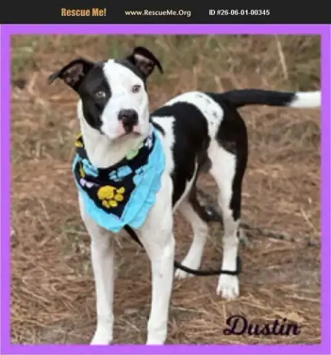 Dustin