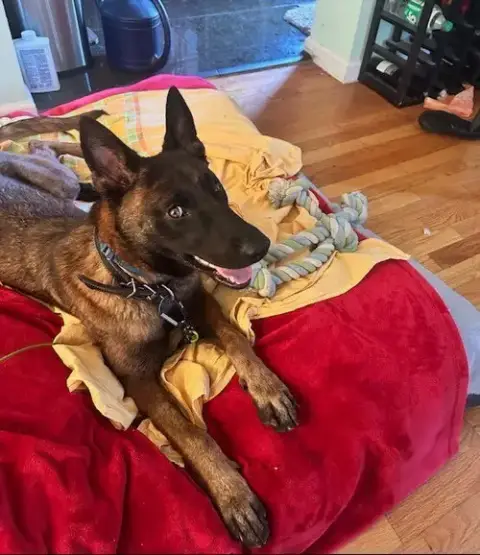 Sassy  Located In New Jersey photo 2