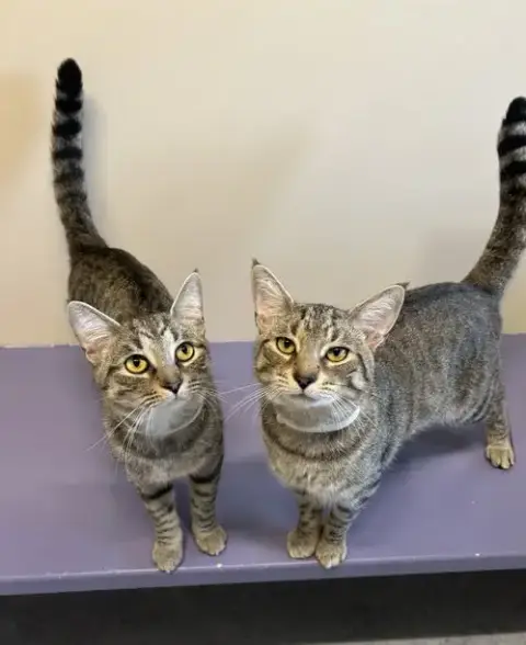 Duncan & Butters