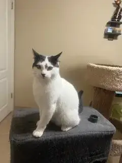 Benny