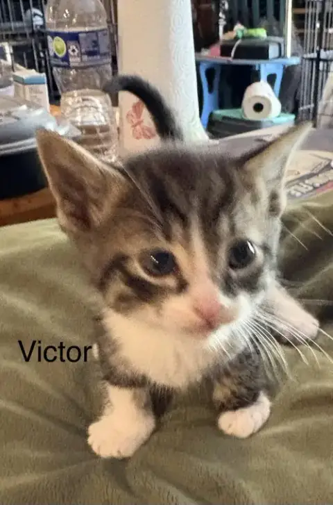 Victor