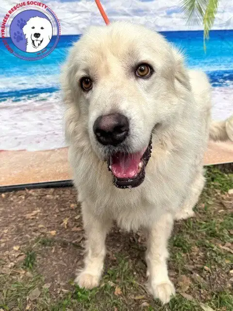 Nash photo 2