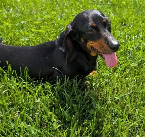 Malorie In Fl photo 5