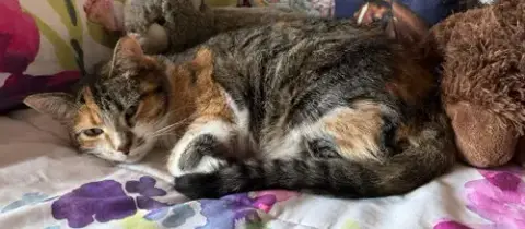 Matilda photo 2