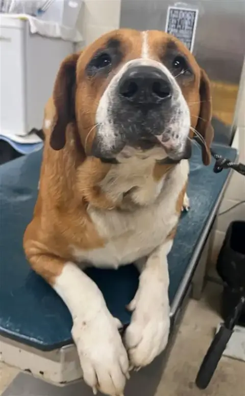 Buster