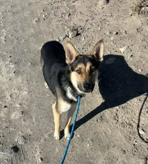 Finn photo 3