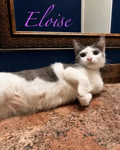 Eloise photo 2