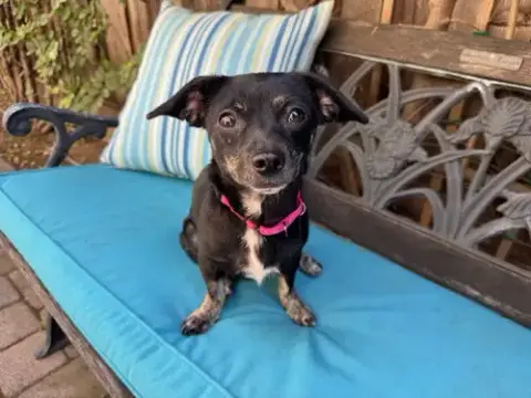 Maisy photo 2