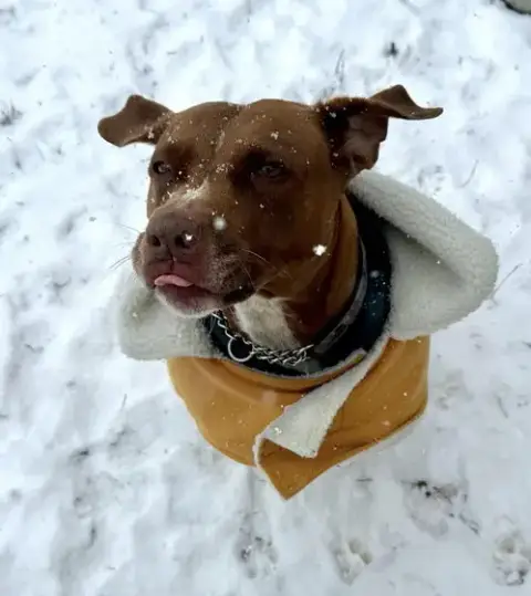 Missy