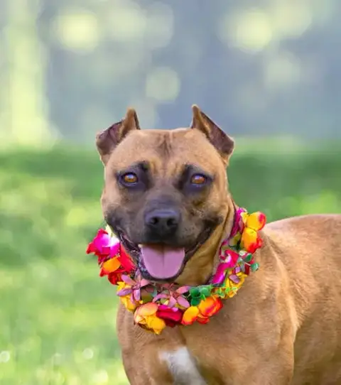Ella