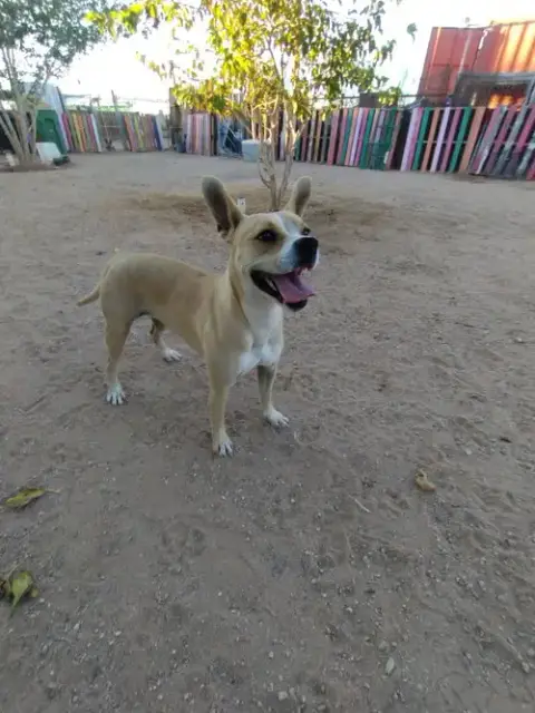 Luna photo 2