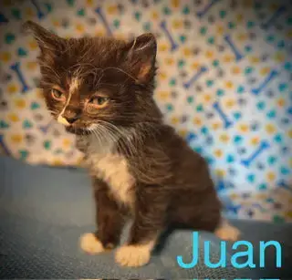 Juan photo 4