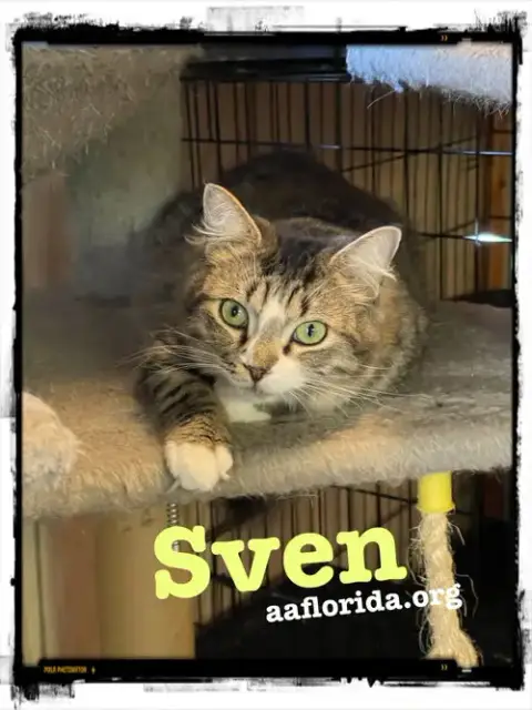 Sven