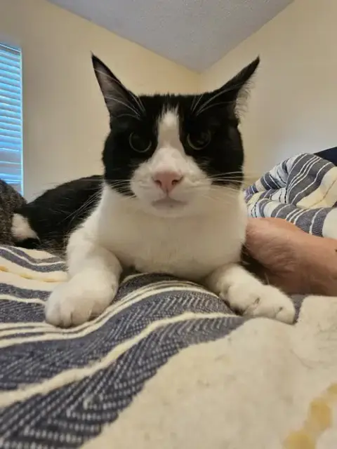 Tux