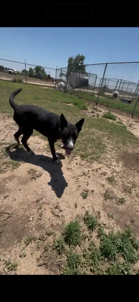 Tucker photo 3