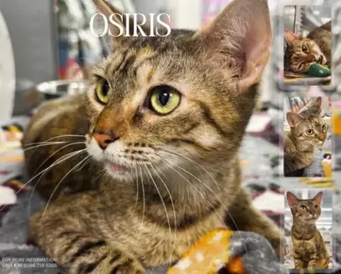 Osiris
