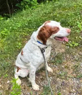 Tn/Dottie photo 4