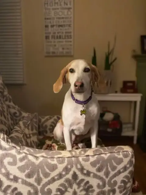 Kacey photo 3