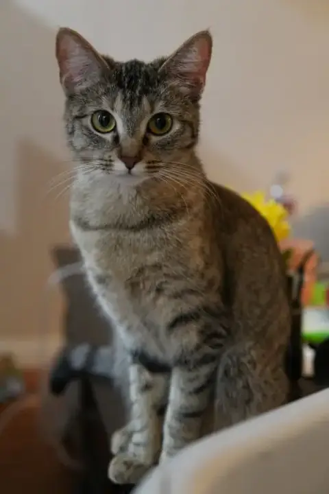 Louise photo 4