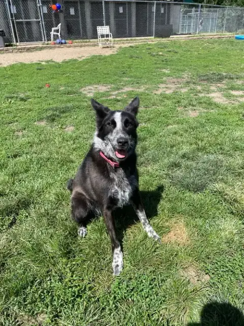 Abby- For Sponsorship Only