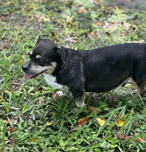 Wally photo 4