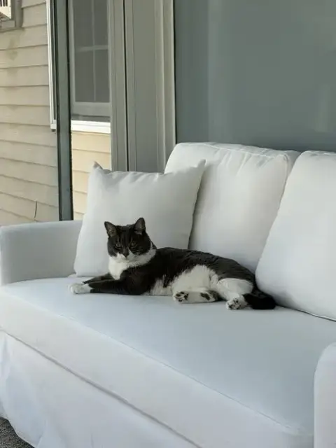 Sophia