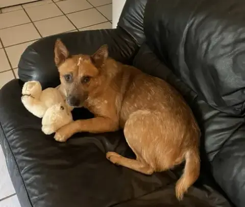 Stubby