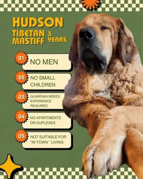 Hudson photo 5